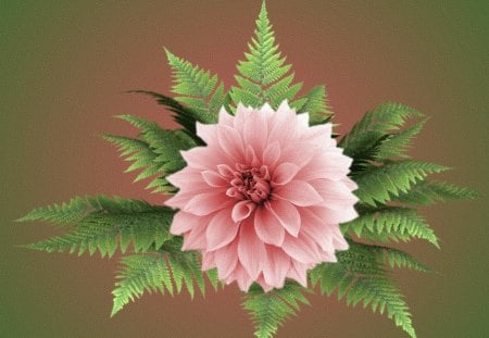 A beautiful pink flower with ferns. - Stunning, Delicate, Pink, Beautiful