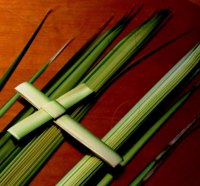 Palm Sunday