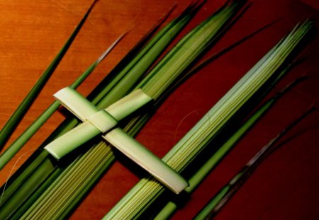 Palm Sunday - cross, jesus, palms, green, easter, palm sunday