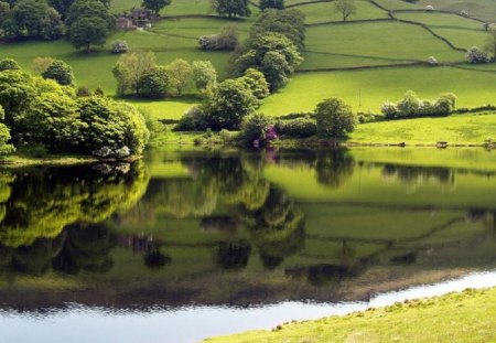 Nice Lake - countryside, water, lake, field