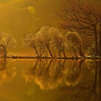 magical light on an autumn lake