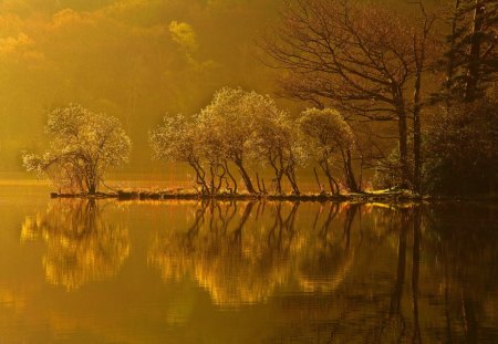 magical light on an autumn lake - lake, reflection, sunlight, trees, autumn