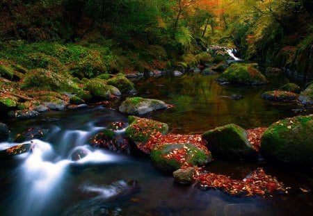 Autumn River - forest, rocks, water, flowing, leaves, river, nature, colors, day, autumn, green