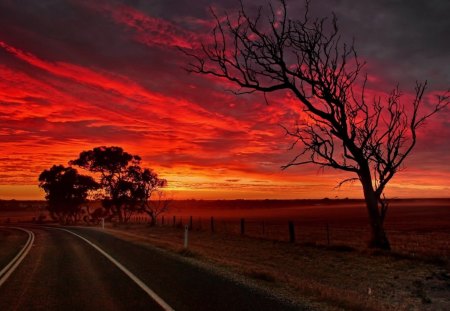 crimson sunset of beauty - beauty, silhouette, sky, travel, trees, photography, night, highway, road, nature, amazing, beautiful, breathtaking, dusk, natural