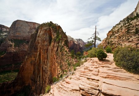 amazing cliffs in a canyon - cliffs, bushes, man, canyon