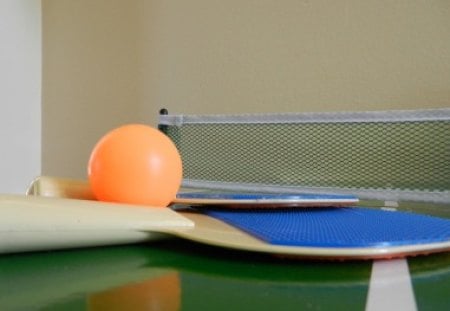 Ping Pong - sports, table tennis, ping pong, net games