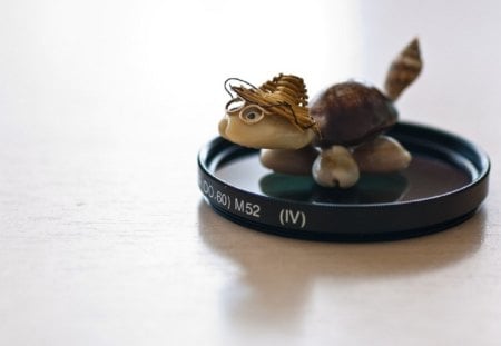 Turtle - table, toy, turtle, mascot