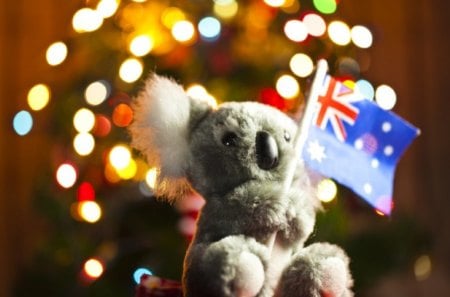 Koala color - mascot, koala, flag, color, australia