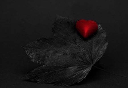 Red&Black - black, heart, leaf, red