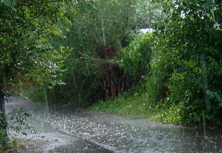 Rainy Day - Rain, Rainy Day, Water, Nature