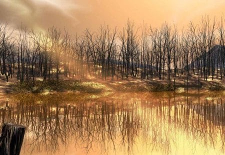 Lake - sky, lake, trees, sunrise