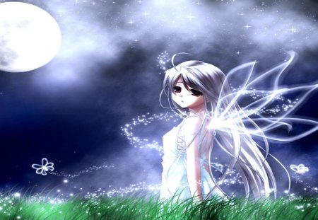 Fairy under Moonlight