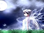 Fairy under Moonlight