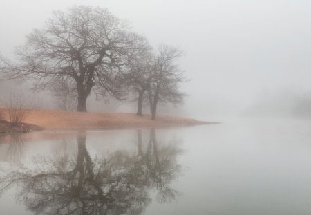 wondrous river in fog - fog, trees, shore, river