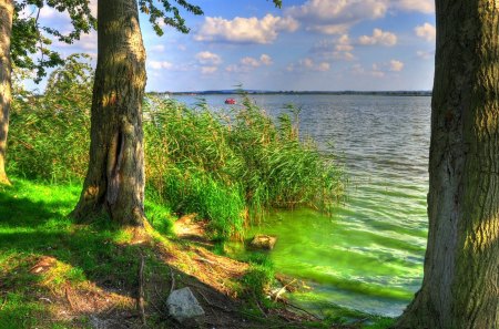 beautiful lake from the shore hdr - lake, trees, boats, shore, hdr, grass