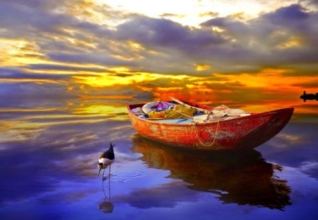 SUNSET HORIZON - clouds, horizon, birds, sunset, water, boat, reflection