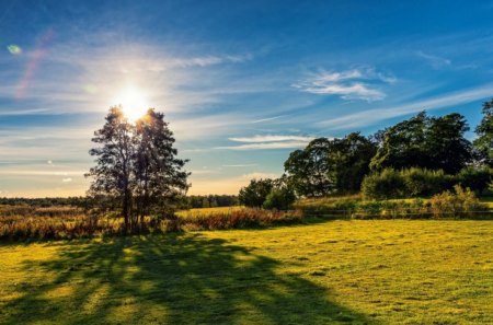 beautiful place - sky, forests, sun, beautiful, place