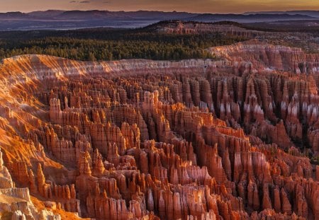 amazing sandstone formation in a canyon - sunlight, forest, canyon, formation, snadstone