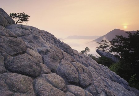 foggy sunrise over the mountains - mountains, rocks, fog, trees, sunrise