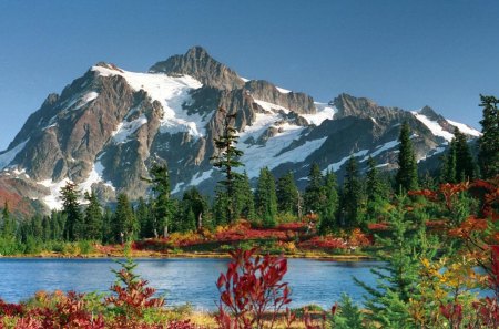 lovely lake by a mountain - shrubs, lake, forest, mountain