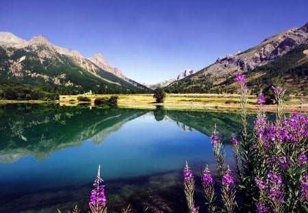 a lovely lake - beauty, lake, sky, scenic, photography, water, wet, mountains, nature, floral, reflection, pink, beautiful, green, flowers