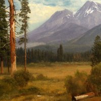 Mount Shasta 1