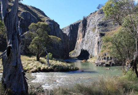 wonderful river gorge - river, grass, trees, gorge