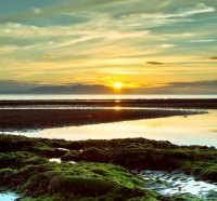 sunset on swamp beach