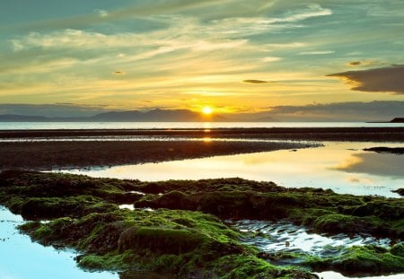 sunset on swamp beach - sunset, beach, swamp, moss, sea