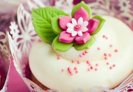 cupcake - flower, pink, photography, leave, vector