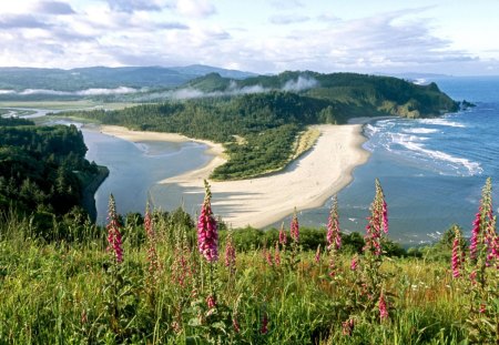 Amazing Westcoast View - beaches, view, ocean, pacific, beautiful, coast