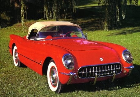 1955 chevrolet corvette - red, corvette, chevrolet, grass