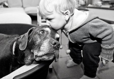 Friends - beauty, puppy, animals, lovely, bubbles, pay, dog face, face, playful, pretty, beautiful, dogs, playful dog, sweet, cute, puppies