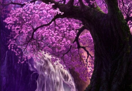 Cherry Fall - nice, beauty, water, waterfall, black, cherry blossom, dark, pretty, sakura blossom, anime, tree, lovely, nature, sakura, floral, beautiful, pink, sweet, flower