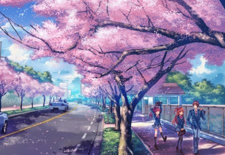 After School - pretty, female, scenery, blossom, scene, uniform, nice, cherry blossom, hot, road, beauty, shadow, sakura blossom, flower, petals, school uniform, student, cute, floral, sexy, anime, guy, long hair, plant, boy, male, short hair, car, view, loud, sky, anime girl, pupil, sakura, beautiful, girl, scenic, lovely, sweet, tree, street, handsome, motorcar, cloud, shade