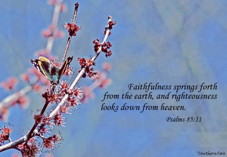 Spring butterfly with scripture