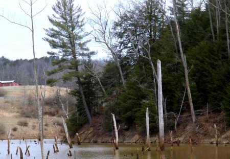 Spring Revenge - water, hills, grass, trees