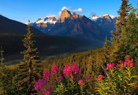 Mountain paradise - pretty, summer, mountain, flwoers, shore, riverbank, lake, paradise, nice, sky, beautiful, snowy, slope, lovely, peaks, river, nature