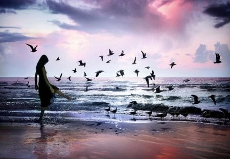 Beautiful sunset - summer, beach, beautiful, girl, sea, seagulls, sand, sunset, dreamy, sky