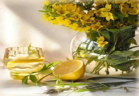 Yellow - abstract, yellow, still life, drink, flowers, wallpapers, plants, color, fruits, glass, lemon, other