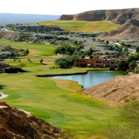 Golfing Scene