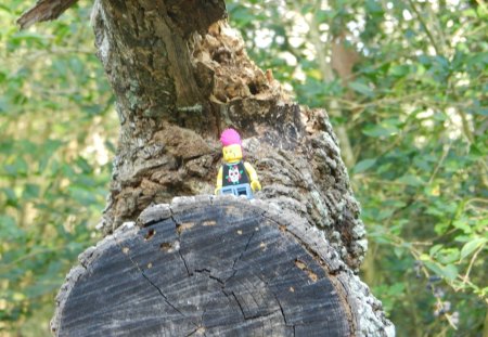 Lego Figure - lego figure, lego, trees, figure