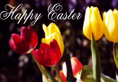 Happy Easter - tulips, holiday, easter, flowers, happy easter, spring