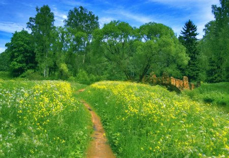 A bridge among greenery - nice, sky, slope, trees, greenery, meadow, field, path, spring, pretty, river, green, grass, bridge, summer, lovely, nature, forest, beautiful, flowers, deloght