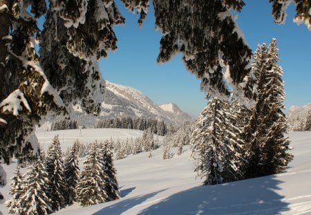 *** Amazing winter *** - nature, sky, landscape, beautiful, winter