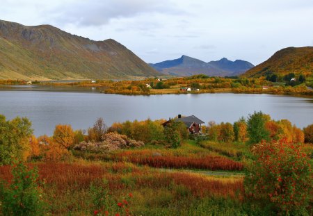 *** Autumn *** - nature, autumn, landscape, beautiful