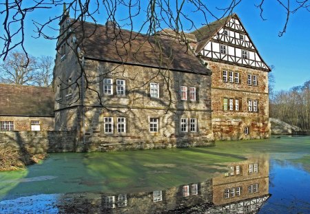 beautiful country manor - manor, reflection, pond, tree