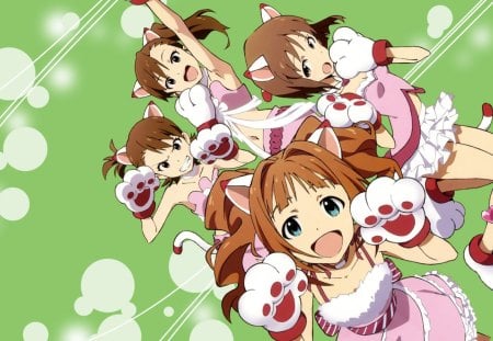 ~Kitty Idolmaster~ - paws, tails, brown hair, anime, pink outfits, cat ears, idolmaster