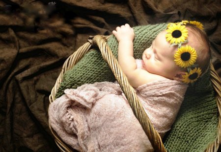 Cute Baby In A Basket - basket, cute, baby, inside