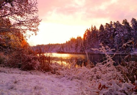 Winter morning. - winter, nature, landscape, snow, forest